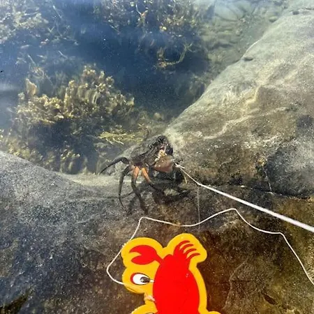 別荘 Sjonaert Smabruk Bud