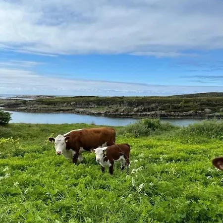 別荘 Sjonaert Smabruk *