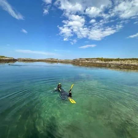 Sjonaert Smabruk * Bud