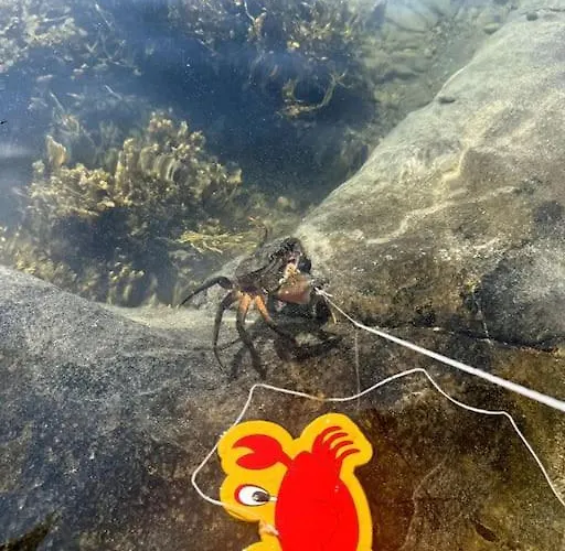 Vakantiehuis Sjonaert Smabruk Bud