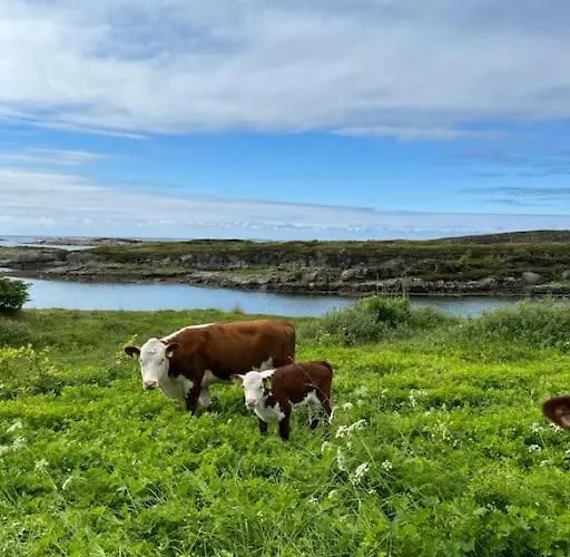 Vakantiehuis Sjonaert Smabruk *