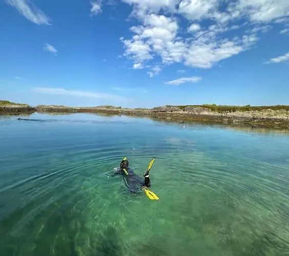Sjonaert Smabruk * Bud
